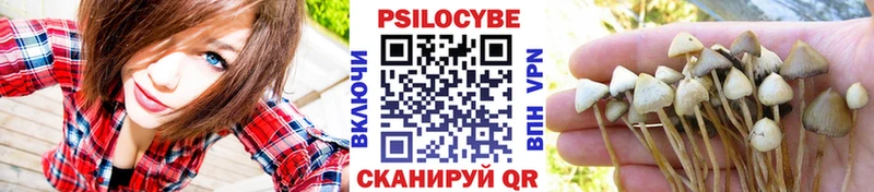 Псилоцибиновые грибы MAGIC MUSHROOMS  нарко площадка формула  Ефремов 